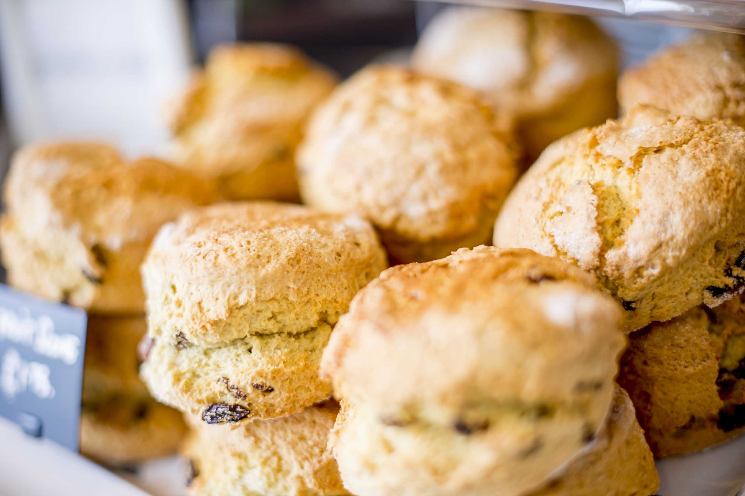 Freshly baked scones