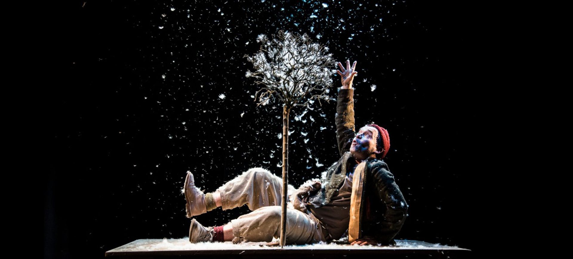 A man in a red hat and scarf looks up to a tree that is emitting feathers