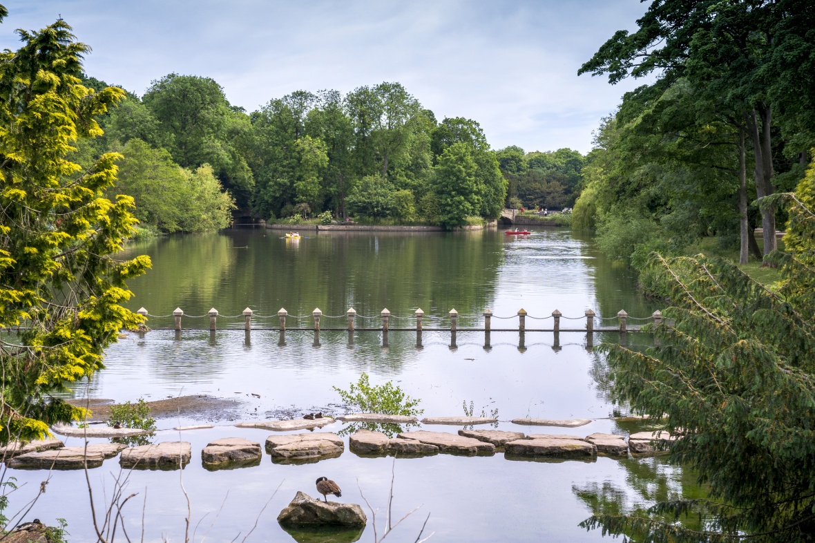 Stepping stones across a lake surrounded by trees